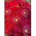 Pure Chiffon Bandhani with Gotta Patti Handwork