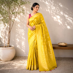 Regal Elegance Pure Dola Silk Banarasi- Olive Green